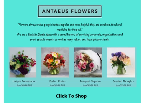 Florist South Yarra - Antaeus Flowers