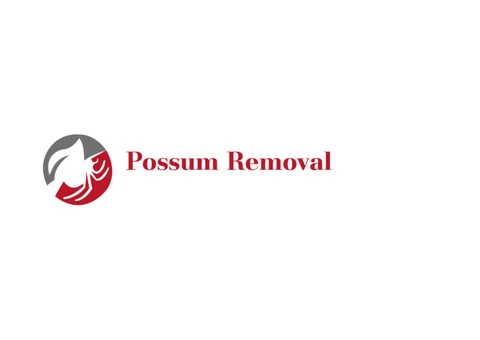 Possum Removal Melbourne
