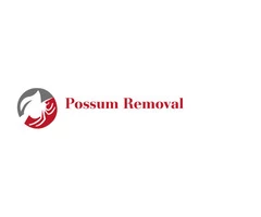 Possum Removal Melbourne