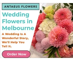Wedding Flowers Melbourne - Antaeus Flowers