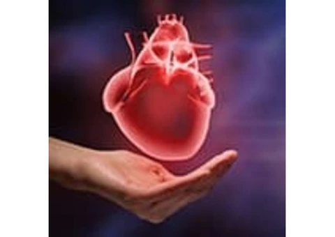 Cardiologist in Melbourne – SCCVS - 2/2