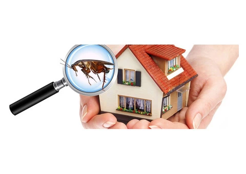 Domestic Pest Control Melbourne| 1300 174 645