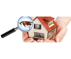 Domestic Pest Control Melbourne| 1300 174 645