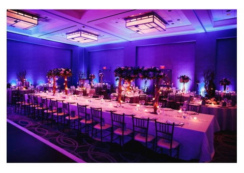 The Royal Event Planner and Decorator in Sydney - 7/8