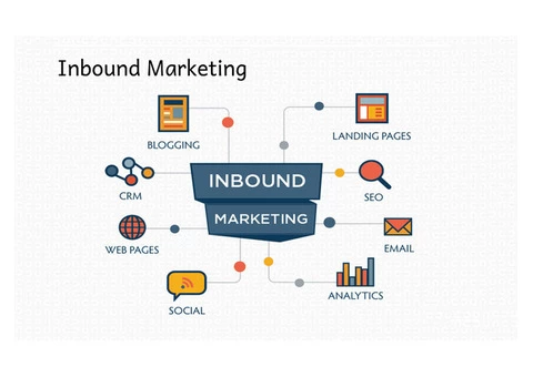 Online Marketing Agency - Crocodile Marketing