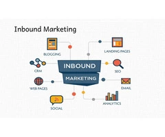 Online Marketing Agency - Crocodile Marketing