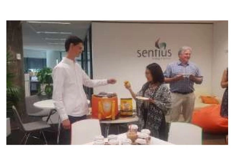 Digital Marketing Strategy Agency Melbourne - 4/6
