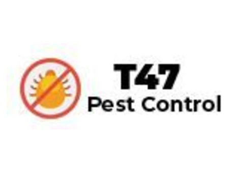 Flea pest control