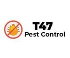 Flea pest control