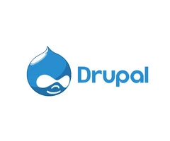 Best Drupal Web Development Company
