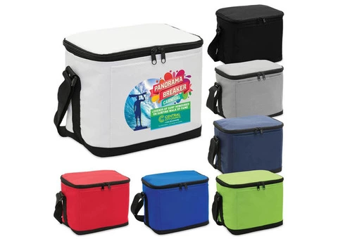 6 Pack Cooler