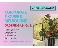 Corporate Flowers Melbourne | Antaeus Flowers