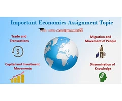 Important Economics Assignment Topic