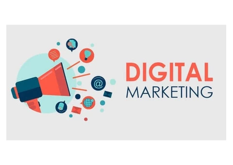 What Skills Should Marketing Consultants In Adelaide Have?