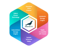 MariaDB Development Services | Hire MariaDB Developers