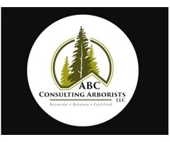 Northwest tree specialists