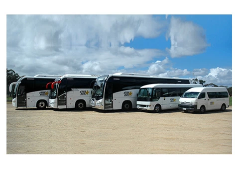 Adelaide Star Bus Provides Memorable Winery Tours in Adelaide