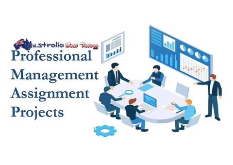 Professional Management Assignment Projects