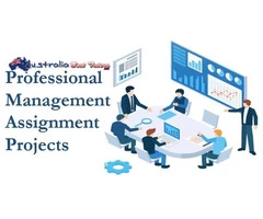 Professional Management Assignment Projects