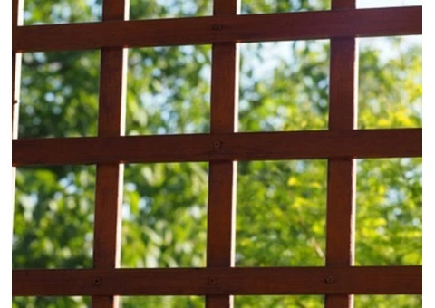 Decks, Patios & Pagolas Services- LivingScape - 5/8