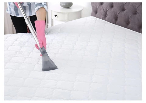 Professional Mattress Cleaning in Sunshine Coast