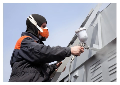 Custom Painting & Decoration Services in & around Sydney by Expert Painters - 2/5