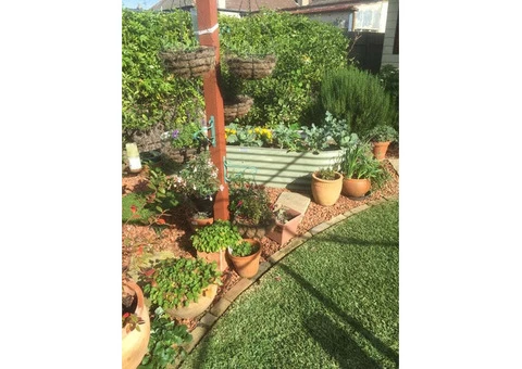 Appleseed Gardening - 3/4