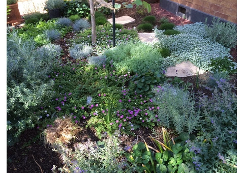 Appleseed Gardening - 4/4