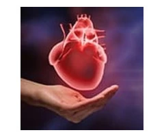 Heart Care Bundoora – SCCVS