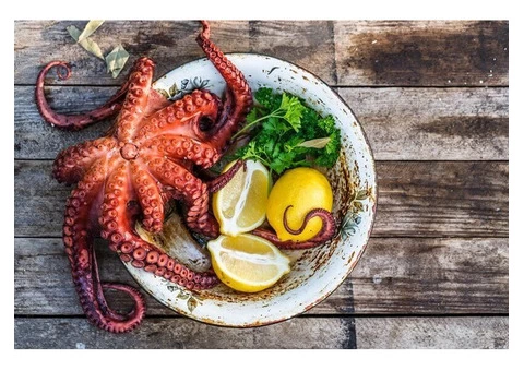 5% off - Arabella's Bar & Grill Lebanese Smeaton Grange, NSW - 1/4