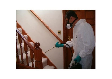 Pest Control Campbell - 1/3