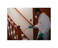 Pest Control Campbell