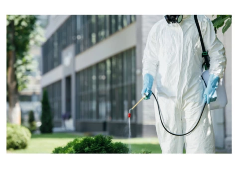 Pest Control Kardinya - 3/4