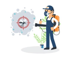 Pest Control Buderim