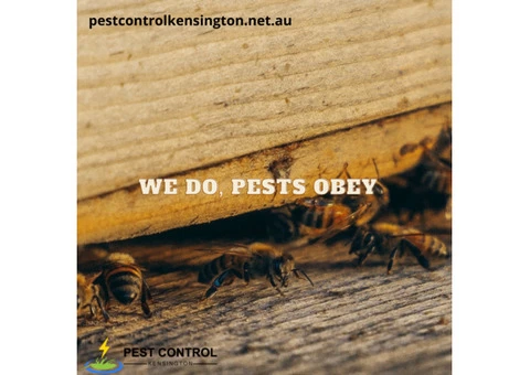 Kensington's Pest Control Service