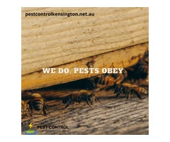 Kensington's Pest Control Service