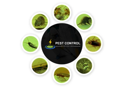 Pest Control Mooloolaba - 1/6