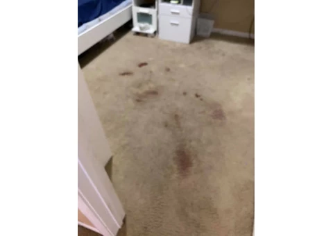 Carpet Cleaning Brisbane - 1/3