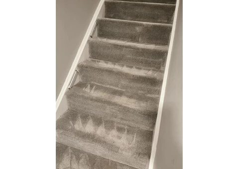 Carpet Cleaning Brisbane - 2/3