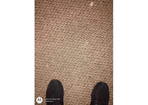 Carpet Cleaning Brisbane - 3/3