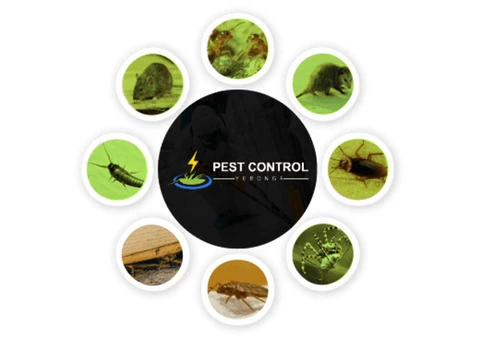 Pest Control Yeronga
