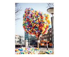 Party Balloons in Gold Coast