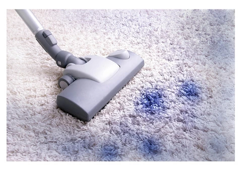 Carpet Cleaning Bardon