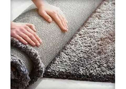 Carpet Cleaning Bardon - 2/2