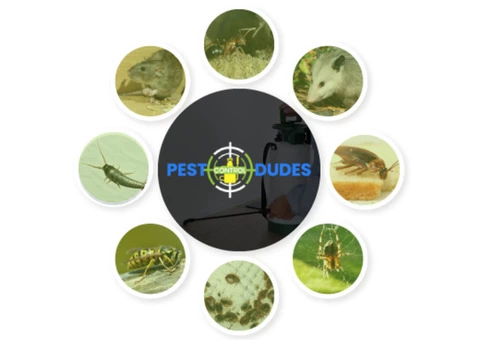 Pest Control Melbourne - 3/4