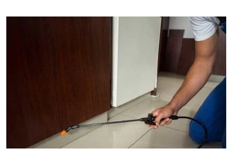 Pest Control Perth - Rat Pest Control Perth