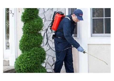 Pest Control Perth - Eco Safe Pest Control Perth