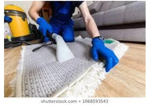 Professional Rug Cleaning in Gold Coast