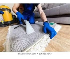 Professional Rug Cleaning in Gold Coast