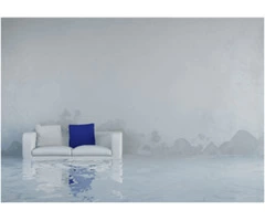 Carpet Cleaning North Brisbane || 1300136365
